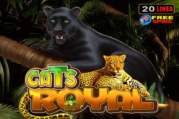 00591 cats royal