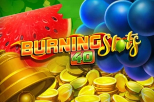 02310 burning slots 40