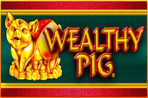 05560 wealthy pig