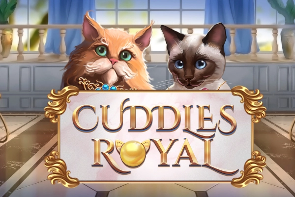 12678 cuddles royal