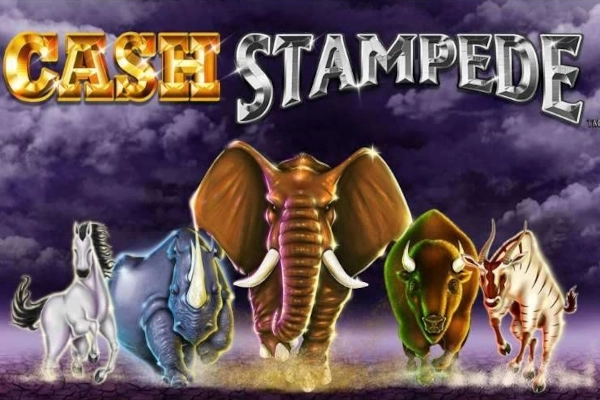 12820 cash stampede